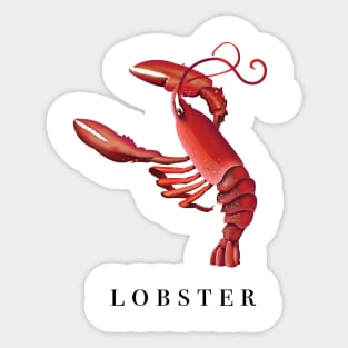 Lobster Sticker